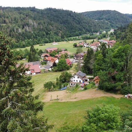 Zum Eichbuehl Apartamento St. Blasien Exterior foto